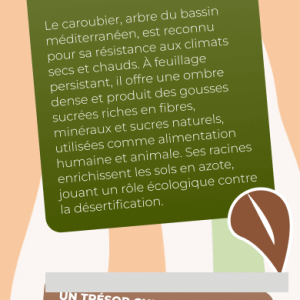 Page éléments