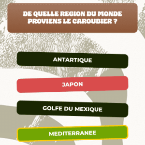 Quizz - Réponses