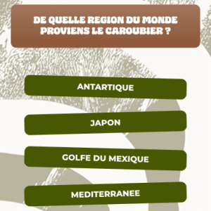 Quizz